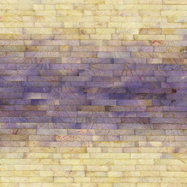 Color Bands, Hydrangea (No.2)